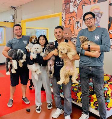 Southpark Doggie Playland DT LA main photo