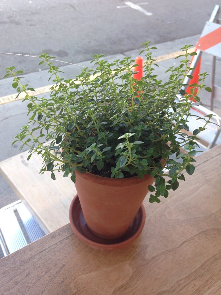 V Cafe photo 2