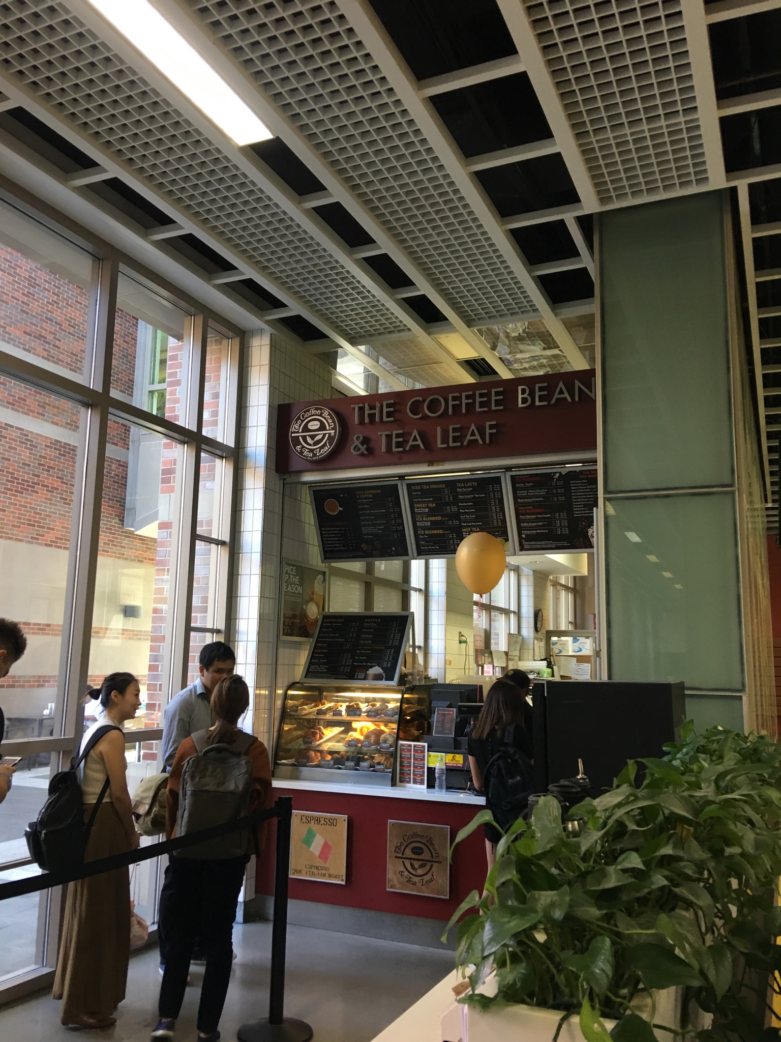 The Coffee Bean & Tea Leaf main photo