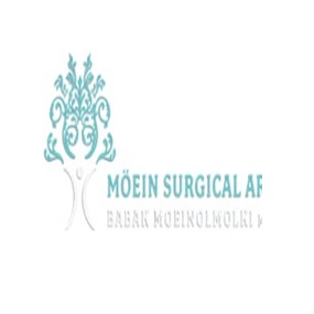 Moein Surgical Arts photo 2