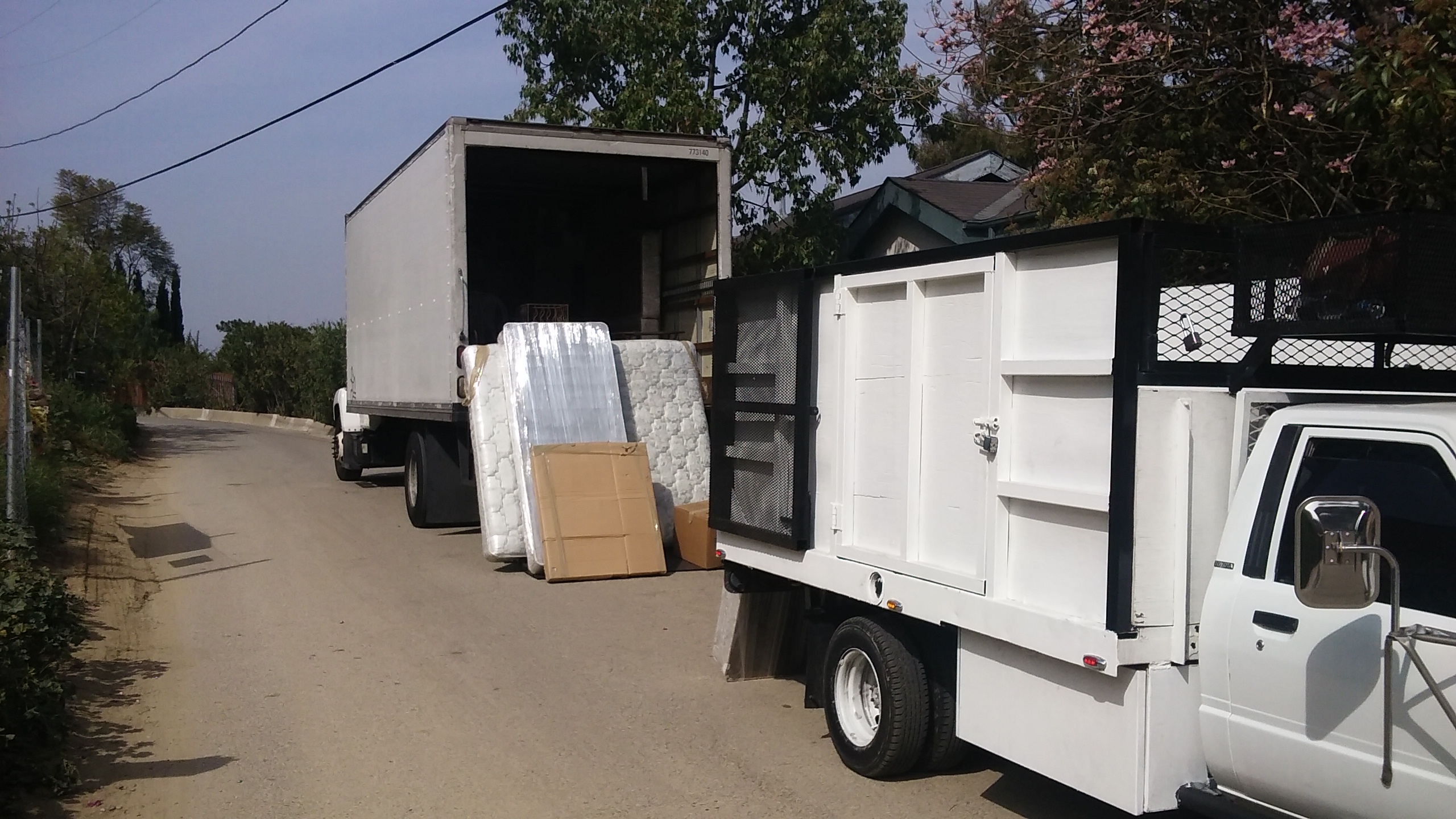 Sunrise USA Moving and Delivery Service main photo
